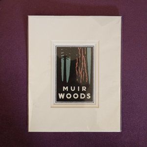 Muir Woods graphic print, matted, 8" x 10", NWT